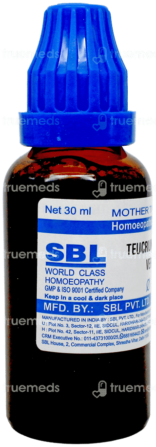 Sbl Teucrium Marum Verum Q Mother Tincture 30Ml